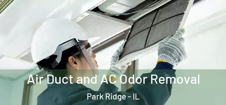Air Duct and AC Odor Removal Park Ridge - IL