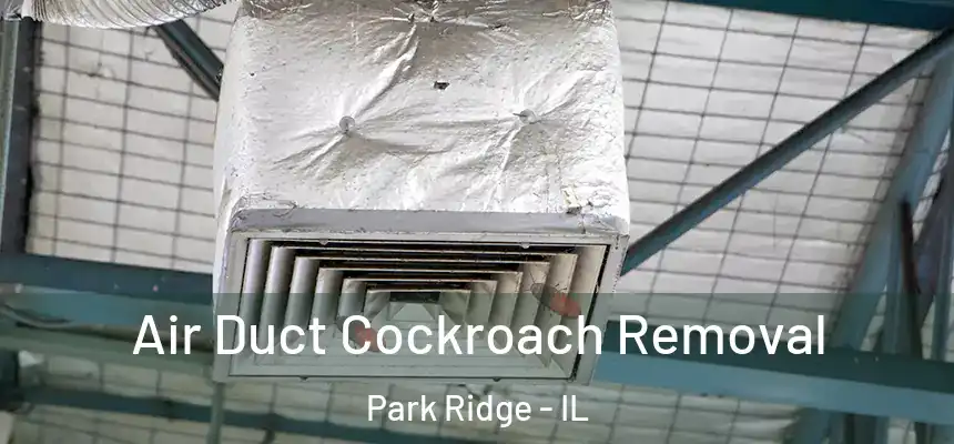 Air Duct Cockroach Removal Park Ridge - IL