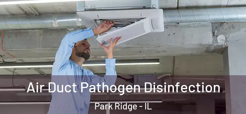  Air Duct Pathogen Disinfection Park Ridge - IL