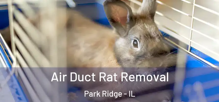 Air Duct Rat Removal Park Ridge - IL