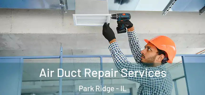 Air Duct Repair Services Park Ridge - IL