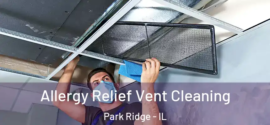 Allergy Relief Vent Cleaning Park Ridge - IL