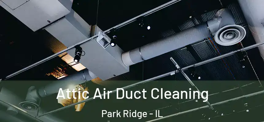 Attic Air Duct Cleaning Park Ridge - IL