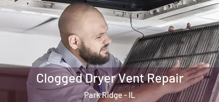 Clogged Dryer Vent Repair Park Ridge - IL