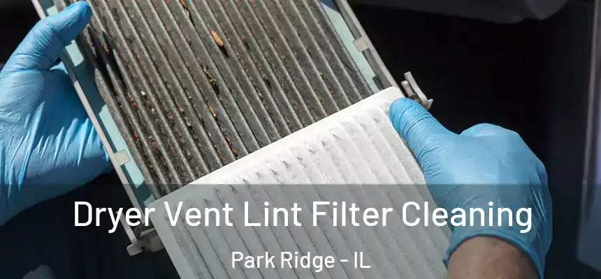  Dryer Vent Lint Filter Cleaning Park Ridge - IL