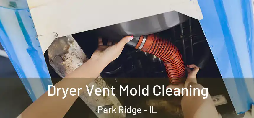  Dryer Vent Mold Cleaning Park Ridge - IL