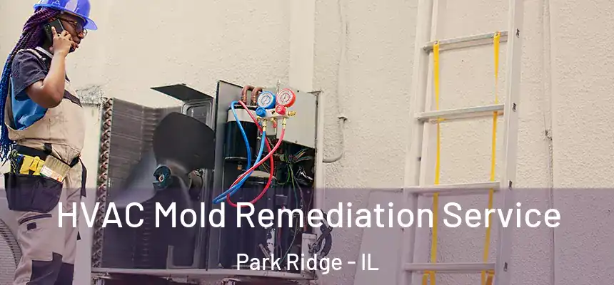  HVAC Mold Remediation Service Park Ridge - IL