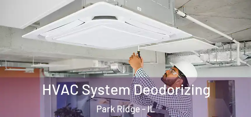 HVAC System Deodorizing Park Ridge - IL