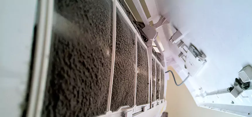 Preventive Air Duct Bacteria Removal in Park Ridge