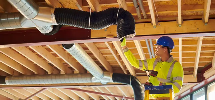 Replacing a Dryer Hose in Park Ridge, IL