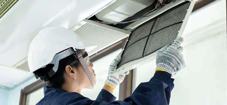 Our Lint Trap Cleaning Service Services in Park Ridge, IL