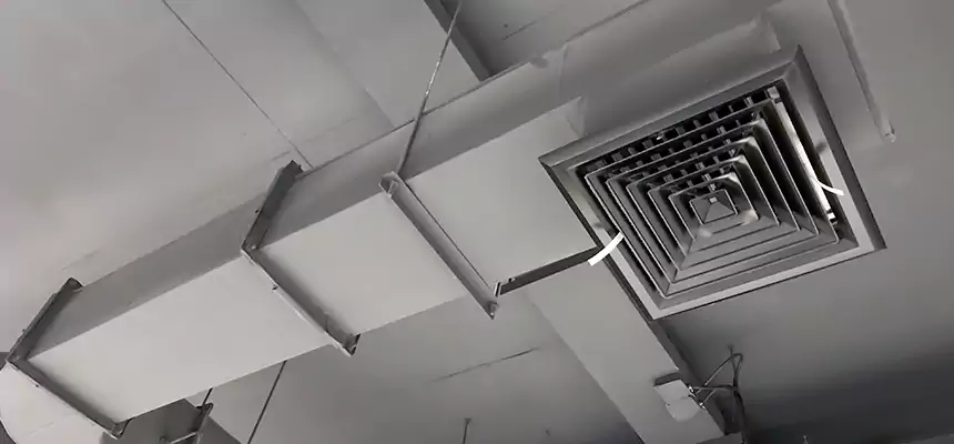 Our Pest Removal From Ducts Services in Park Ridge, IL