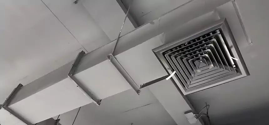 Our Rodent Droppings In Vents Services in Park Ridge, IL