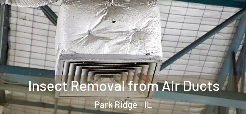 Insect Removal from Air Ducts Park Ridge - IL