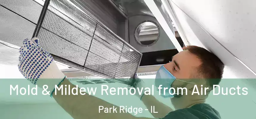  Mold & Mildew Removal from Air Ducts Park Ridge - IL