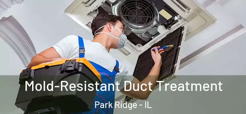  Mold-Resistant Duct Treatment Park Ridge - IL