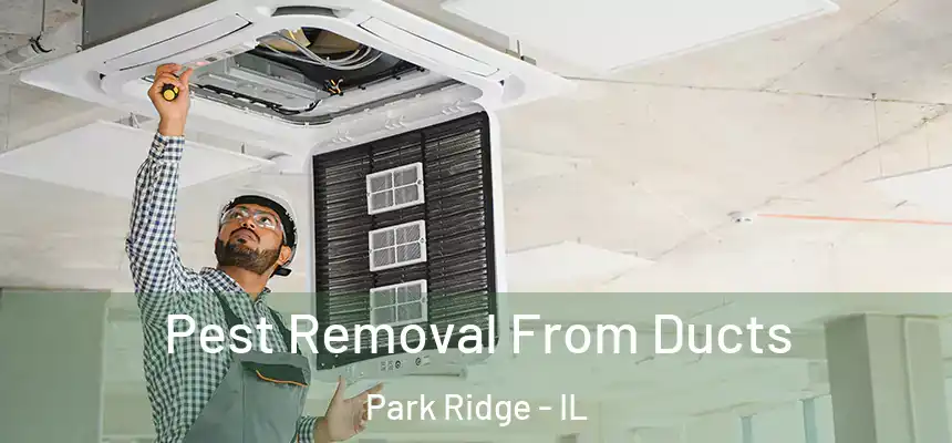 Pest Removal From Ducts Park Ridge - IL