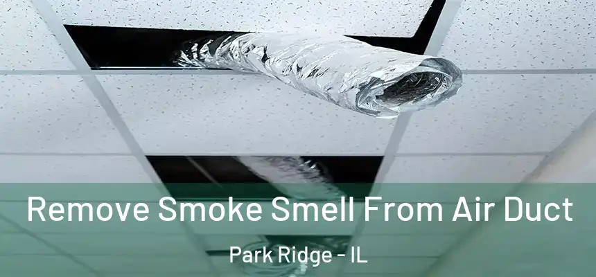 Remove Smoke Smell From Air Duct Park Ridge - IL