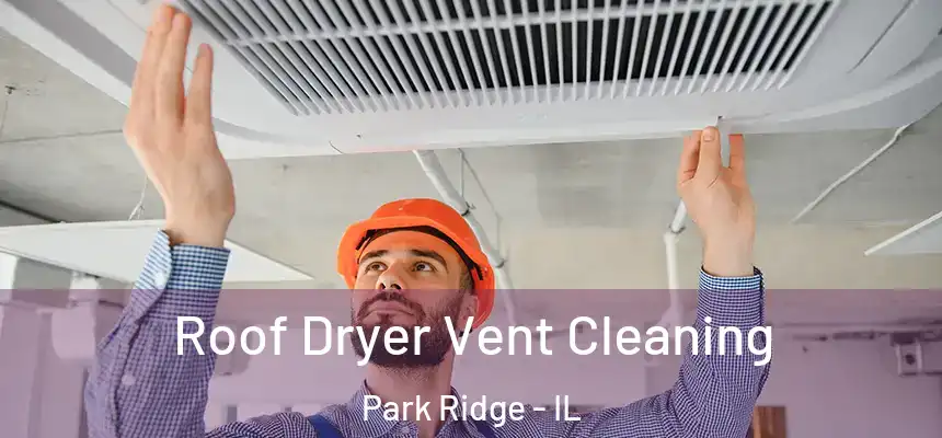 Roof Dryer Vent Cleaning Park Ridge - IL