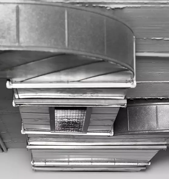 Professional Air Duct Pest Removal in Park Ridge, IL