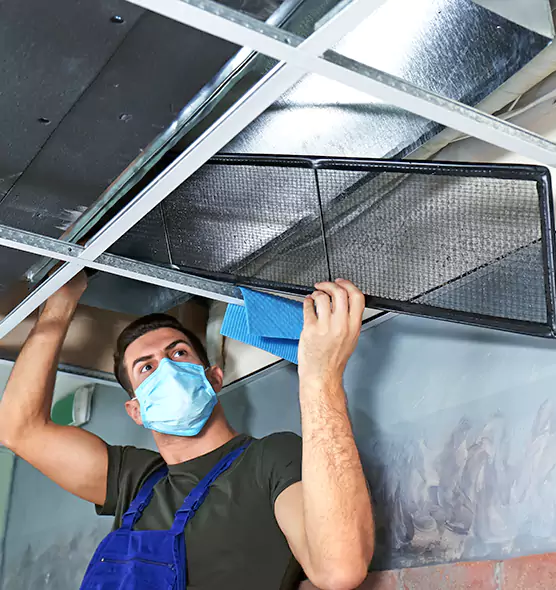 Professional Air Duct Pollen Cleaning in Park Ridge, IL
