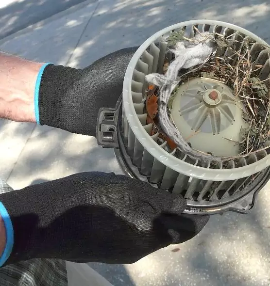 About Air Duct Rat Removal in Park Ridge, IL