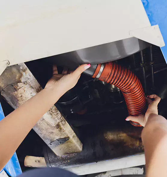 About Air Duct Virus Disinfection in Park Ridge, IL