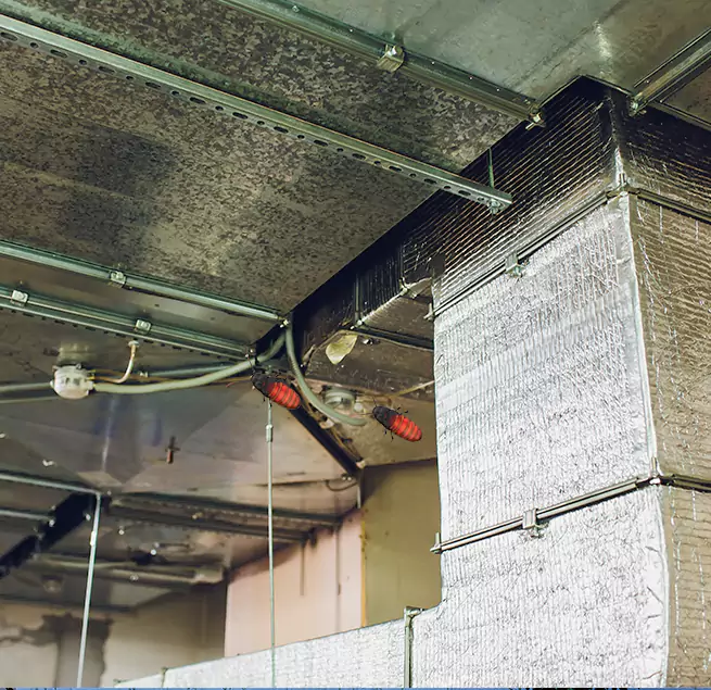 Why Homeowners & Businesses Trust Us in Park Ridge, IL?