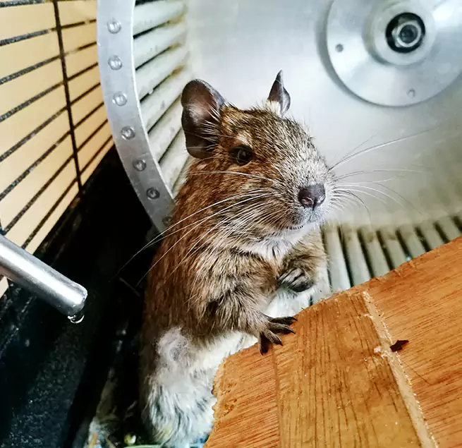 Why Homeowners & Businesses Trust Us Park Ridge, IL