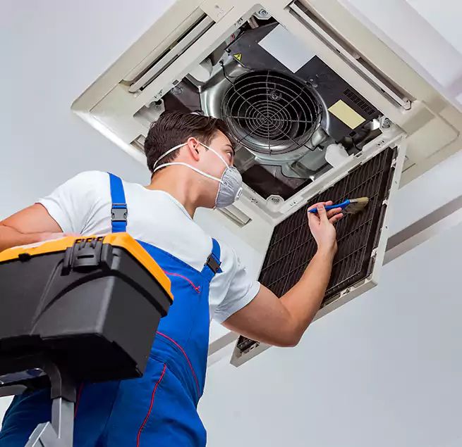 Why Homeowners & Businesses Trust Us in Park Ridge, IL