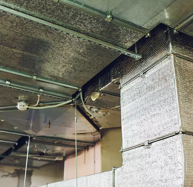 Why Homeowners & Businesses Trust Us in Park Ridge, IL?